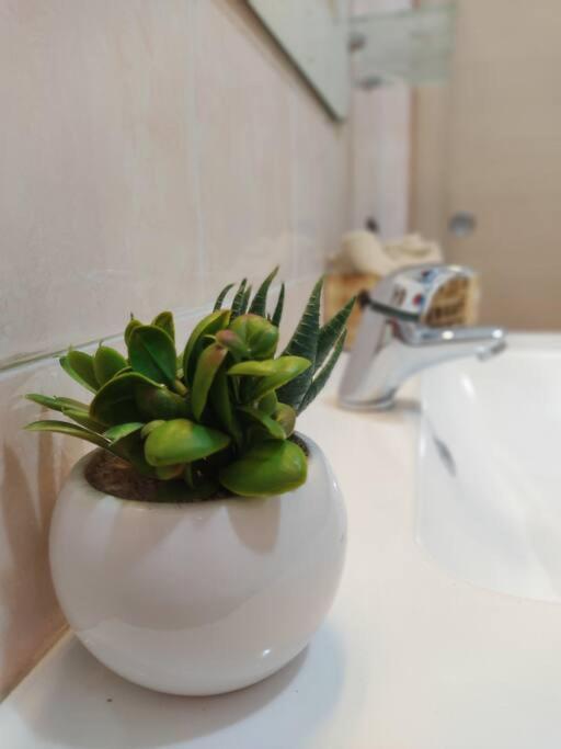 Ross House Apartment Fiumicino Ngoại thất bức ảnh